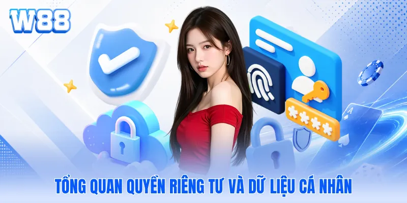 Tổng quan quyền riêng tư và dữ liệu cá nhân