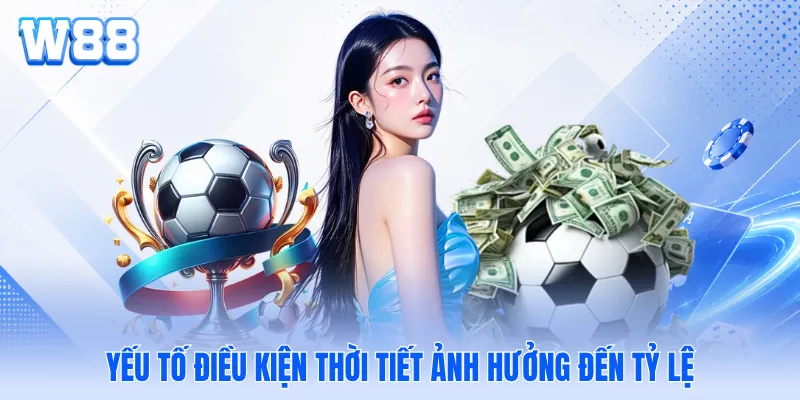 Yếu tố điều kiện thời tiết ảnh hưởng đến tỷ lệ Yếu tố điều kiện thời tiết ảnh hưởng đến tỷ lệ